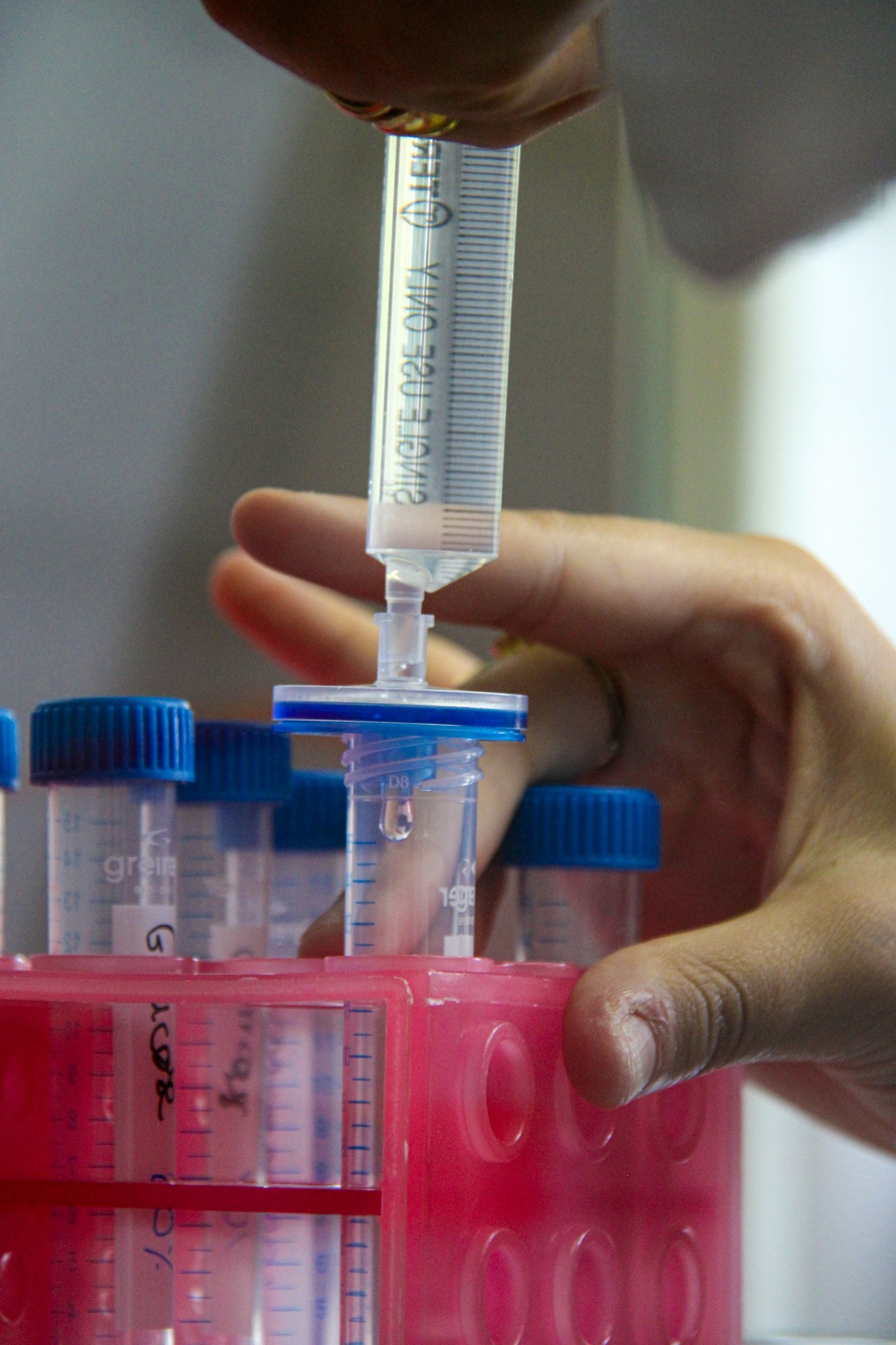 Breaking Down Peptide Research for Everyday Use