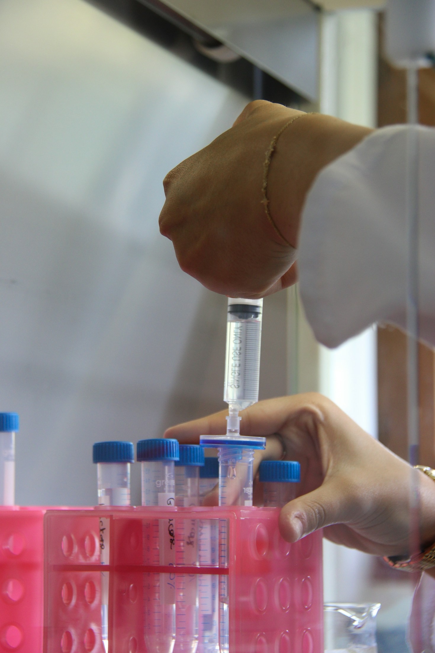 The Future of Health: Peptide Innovations